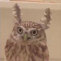 CB123456 (@sun00625052) 's Twitter Profile
