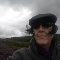 PrincessPM#ToFU🏴🇬🇧🇪🇺#FBPR💙NHS (@politics4ar) 's Twitter Profile