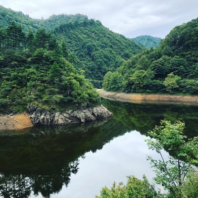 rewado4147's profile picture. 人生大学、人間学科、生命学部、在学中