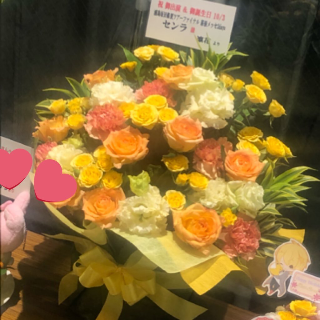 センラー💕志麻リス💕S!Ner💕まりんちゅ💕ハネラー💕 推しがたくさんいる浮気性激しい新社会人、(꒪˙꒳˙꒪ )