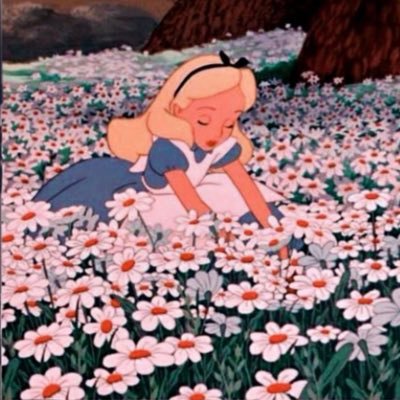 Njoud_rk's profile picture. Fresh Graduated Pharmacist,PharmD degree,PNU