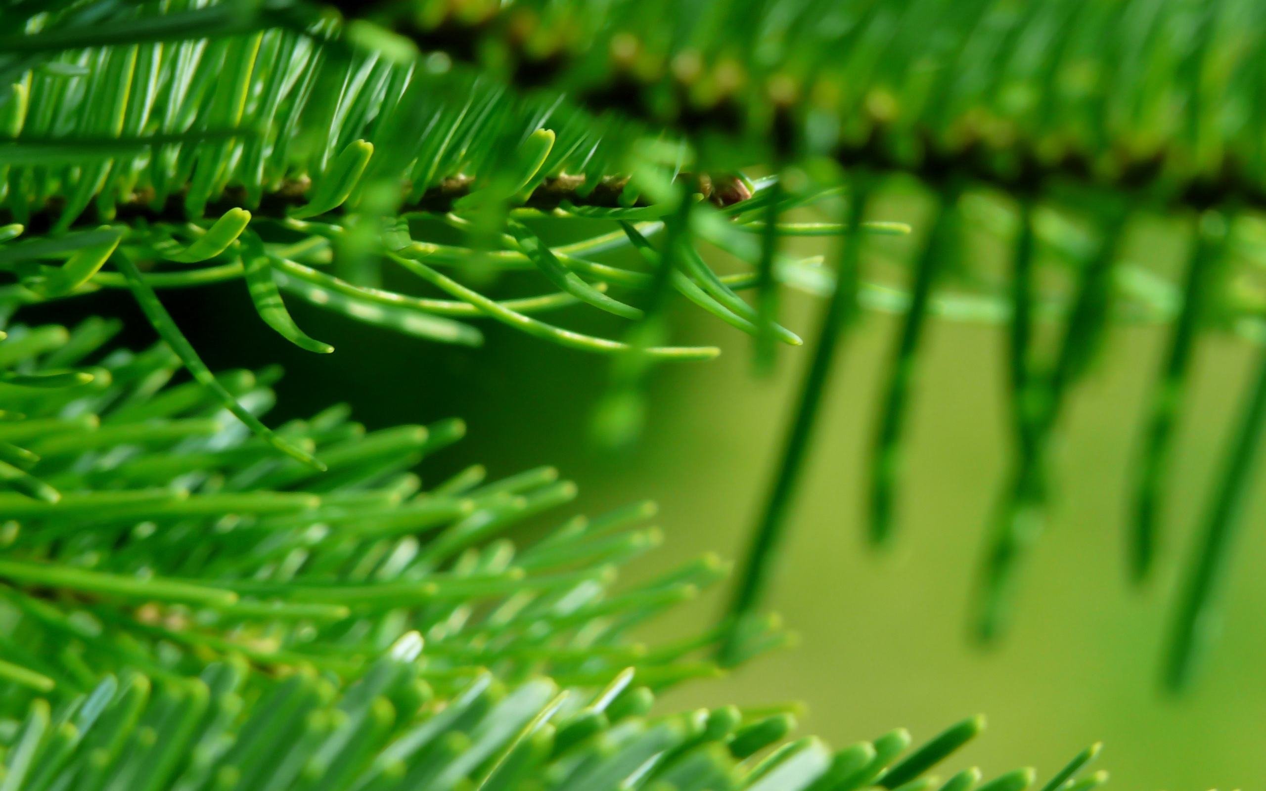 5mmtc's profile picture. 微博里有多个黄播直播平台地址https://t.co/h8pnJ0TCqc