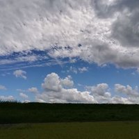 元メンバー♀ (@sfrfd4ncouswtls) 's Twitter Profile