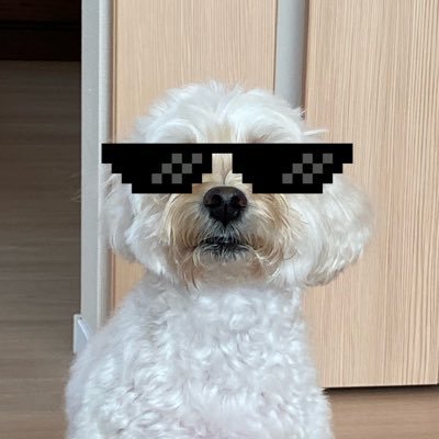 Euler_cossin's profile picture. 気の向くままにツイートします。関家の日常いいねbotです。https://t.co/jwLq7N9rcp