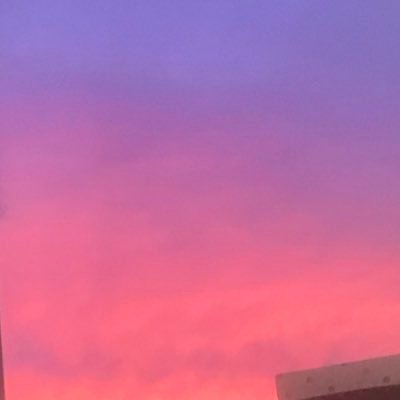 catxbiss's profile picture. + she/her