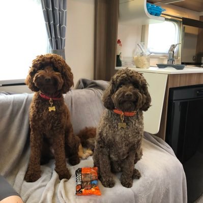 Proud to be a Falkirk Bairn; parent to 2 fur babies; 🏴 🇮🇹 🏳️🌈