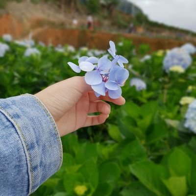 Mano💚さんのプロフィール画像