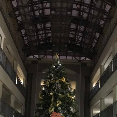 aaa_a_a_aaaa_a's profile picture. 北海道教育大学 ビジネス-アートマネジメント ピアノ 日本大学 経営 M1