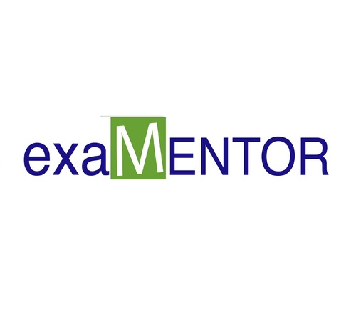 We provide a comprehensive set of training services to CPA candidates which includes workshops (in-class lecturing), one-on-one coaching and marking.