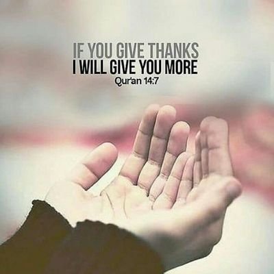 three is no time for holidays when you realise how little time three is.and how much work has to be done for Islam
🌱🇵🇰🌱🇵🇰💚🇵🇰🌱🇵🇰🌱