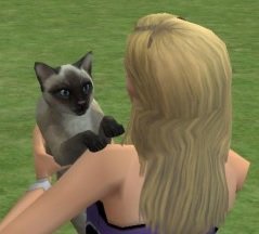 🐱  Simmer incondicional de Los Sims 2.
🐱  Descubriendo Los Sims 3.