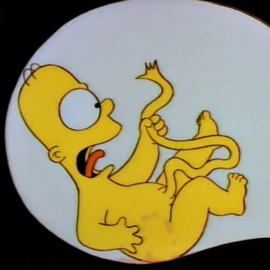 a2sweatpants's profile picture. This is the Twitter where I bitch about Michigan sports and the fallen Babylon that is Ann Arbor. 

Also runs @deadhomers