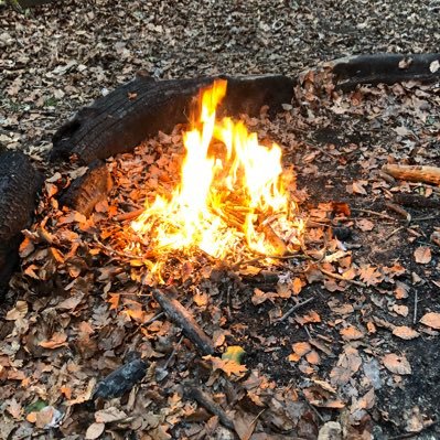 Brownie unit in #PettsWood @girlguiding in #GLK 
Having fun, making friends & learning new skills.