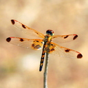 James Stacy Chalmers - @Stacychalmers - Twitter