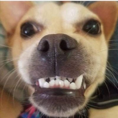 Luisfer55547844's profile picture. 