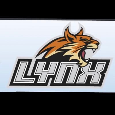 U13 AA Lynx hockey team with the DJHL in the 2021-2022 season