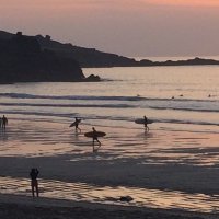 Lisa Felton (@feltonl) 's Twitter Profile