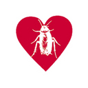 Jon Roach Brosius - @jonroach - Twitter