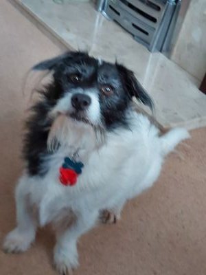 skid1947's profile picture. happy go lucky