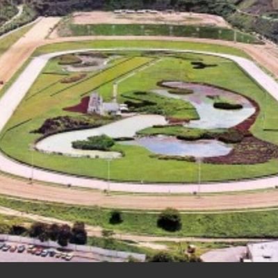 forever76mlb's profile picture. PRONOSTICADOR HIPICO Y DEPORTIVO