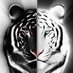 ETiger (@eltontiger) Twitter profile photo