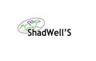 Welcome to ShadWell'S, India's First Education Management Company and the largest ACCA tuition provider in the country.
