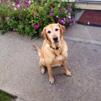 Brendan Huff (@brendan33481331) 's Twitter Profile