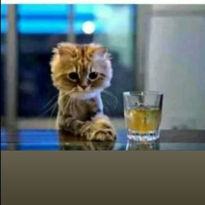 NyontoIkuina's profile picture. Live and Learn| Hip-hop| Manchester United