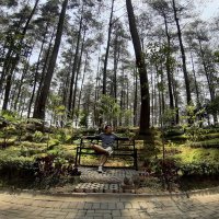 risky prihartanto (@r_prihartanto) 's Twitter Profile