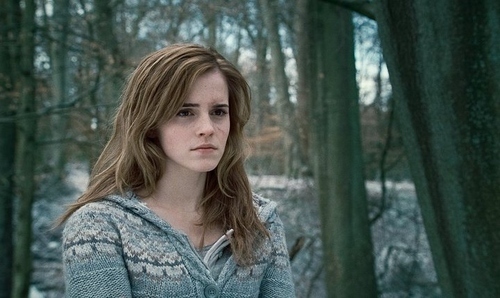 I'm Hermione Granger. Probably The Smartest Gryffindor you'll find. Single. I Take my Wand with me everywhere. Now that The Dark Lord is Back.