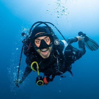 diegoalex's profile picture. Brazilian scuba instructor/developer/entrepreneur fascinated by how things work (from coding to the origin of life).