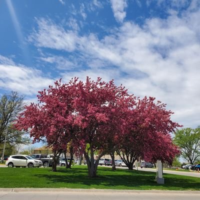 wittyresident's profile picture. Burnt out resident physician👩‍⚕️ looking to regain my lost soul. And vent. 
Love dogs 🐶 music 🎼🎶 and medicine 💉. 🌈 ally. She/Her. 🇺🇸🇮🇳