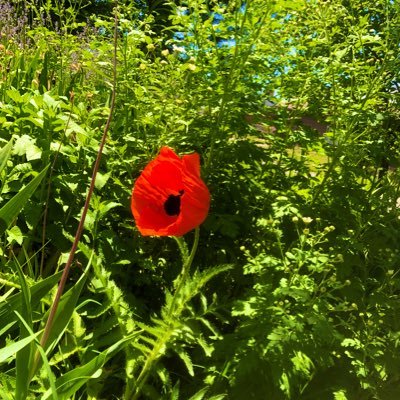 OgdenReuse's profile picture. 