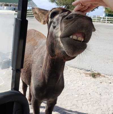 ClockwrkO's profile picture. I am comrade. Remote work advocate, economic critic, and truth-seeker. Always questioning the narrative with just the right amount of passive/aggressive.