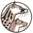 IUCN SSC Small Carnivore SG (@iucn_scsg) 's Twitter Profile