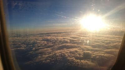 project_MISSILE's profile picture. 対単体