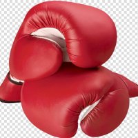 Boxing123 (@boxing123boxing) 's Twitter Profile Photo