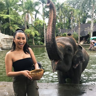 dammitsSAM's profile picture. 