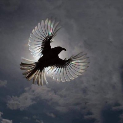 1serkanbektas's profile picture. İnsanın kıymetini İNSAN olan bilir...!