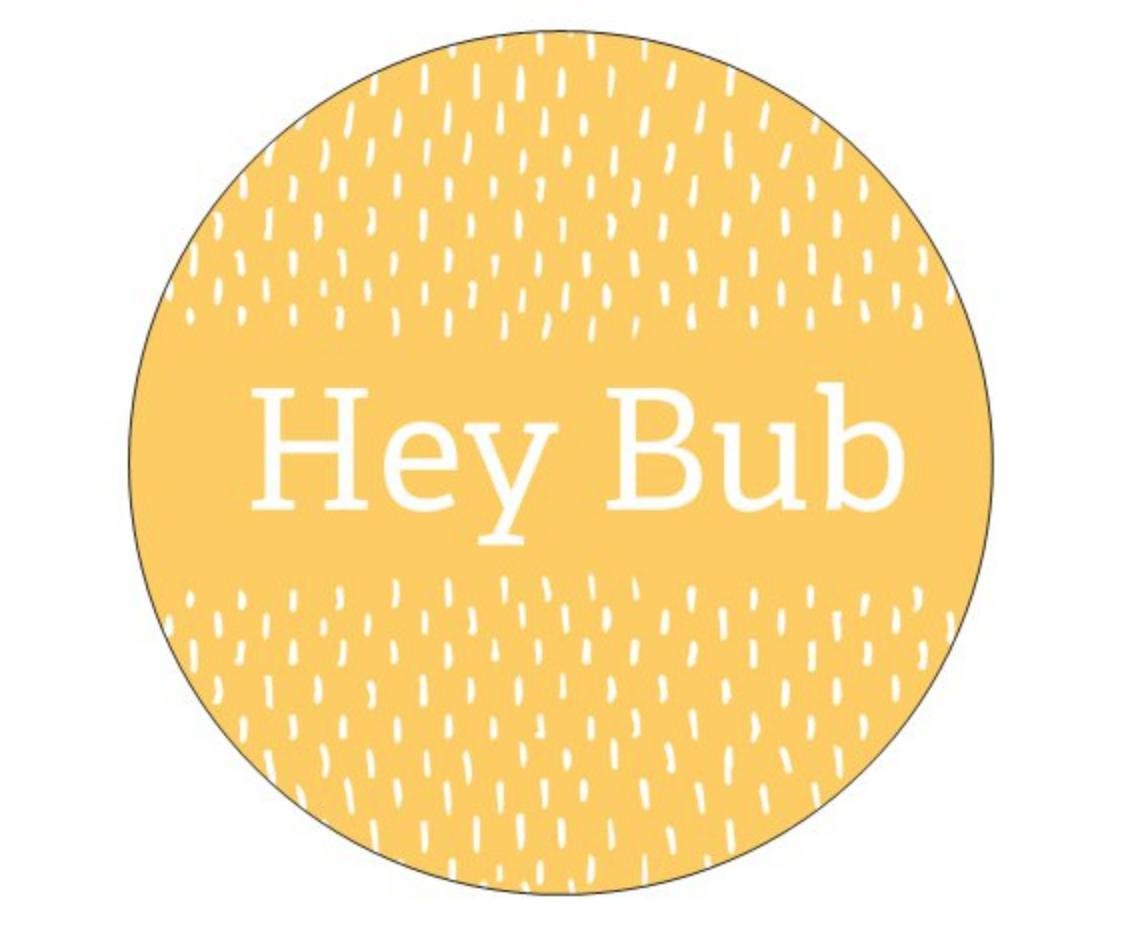 HeyBub8's profile picture. We are an old time duo from the Hudson Valley. One of our missions is to bring multigenerational audiences together with live music!