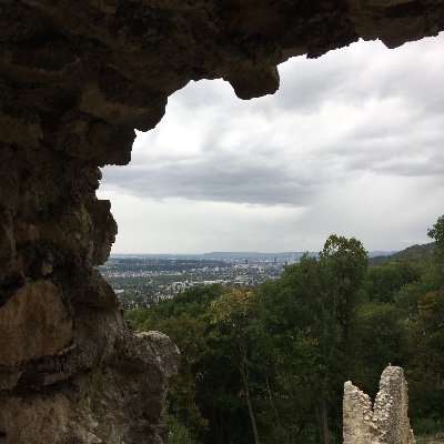 Bergstrom_Emil's profile picture. 