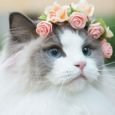 New account