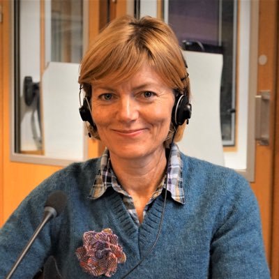 FBaillie's profile picture. Spanish | English translator & interpreter