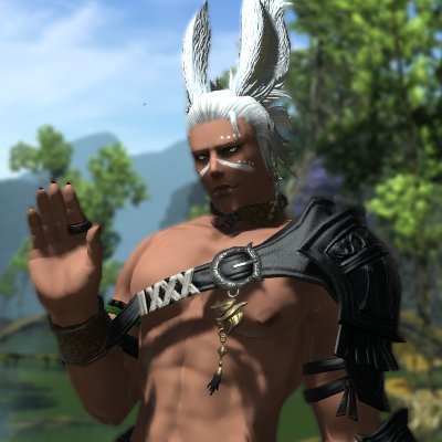 elerteser's profile picture. This will record the biography of my FFXIV character as he struggles to bring his brothers from the lifestream