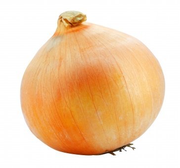 onionsarada07's profile picture. 絵練習中
恥ずかしいので出せるレベルまでまず頑張ります