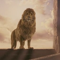 xing_simon's profile picture. I believe in Jesus！