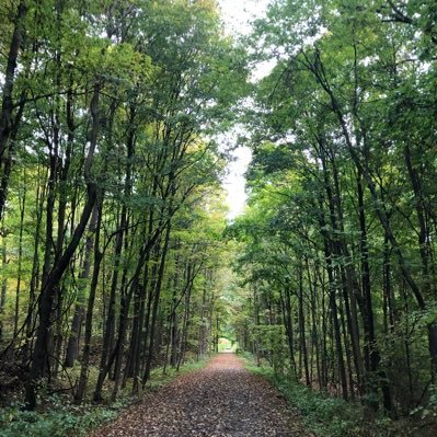 LAS3_93's profile picture. Wading through the political quagmire. #Resist 🌊 #blacklivesmatter #exGOP Occasional Raconteur. Provocateur. Patriot. Recovering Catholic, agnostic