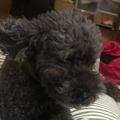 Xgkuuuf97B3Zxuj's profile picture. Winning Elleven fifa ロナジマドリード