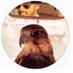 ﮼محمد ﮼الهزاع (@qu48) Twitter profile photo ﮼محمد ﮼الهزاع (@qu48) Twitter profile photo