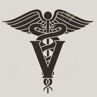 Médico Veterinario, egresada de FCV-UCV
Venezolana viviendo en Venezuela